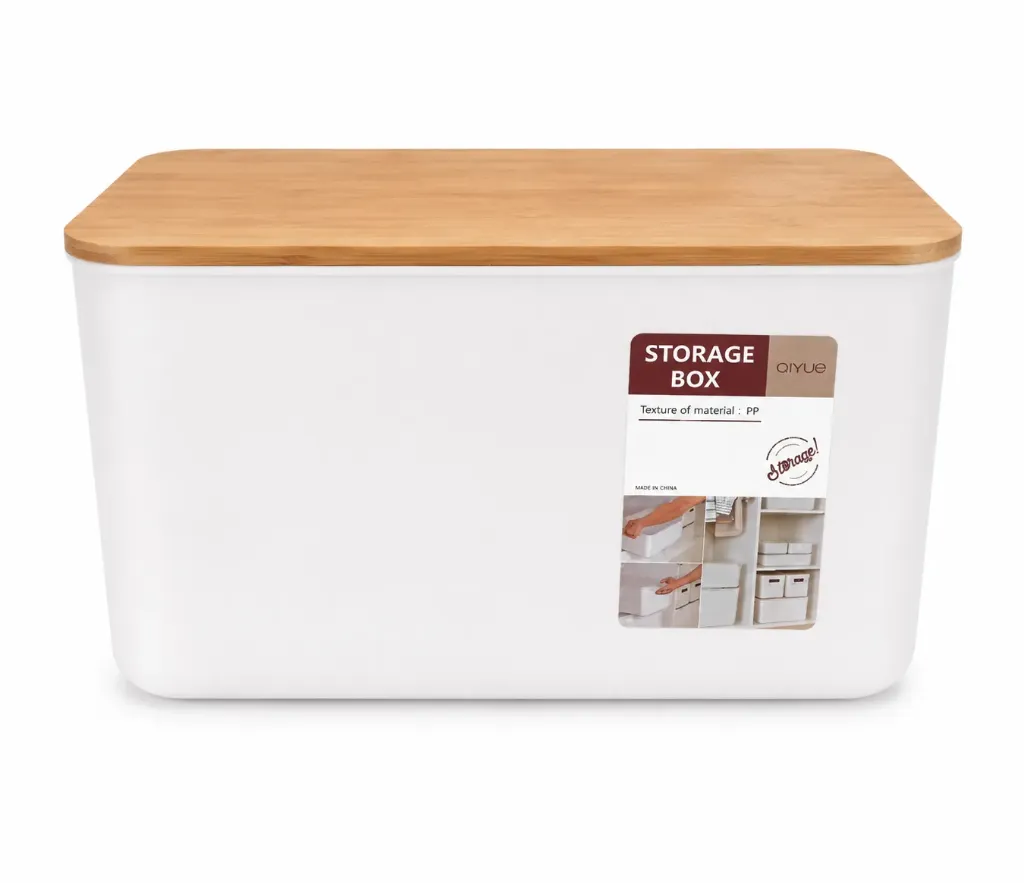 STORAGE BOX 3.99